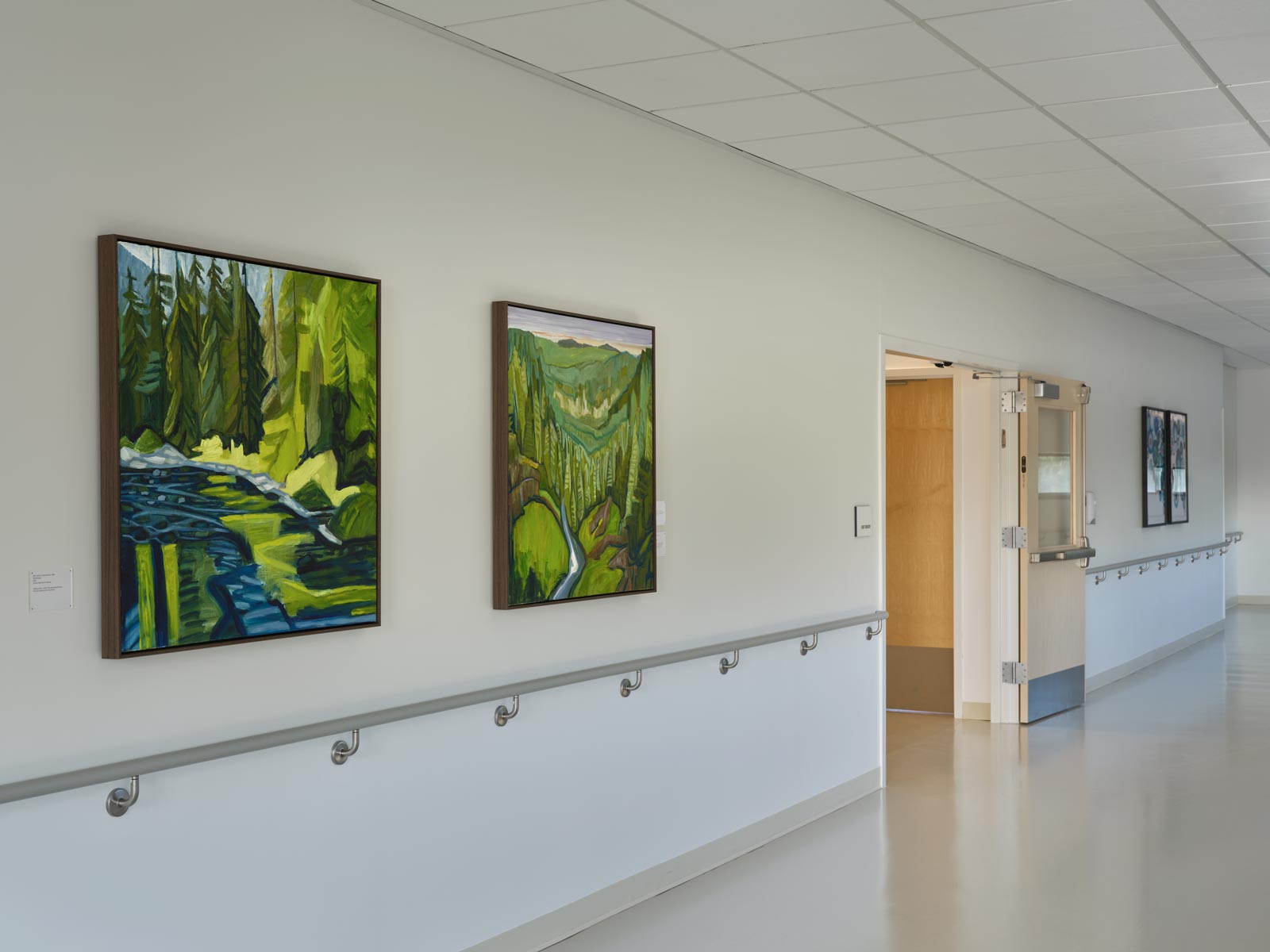 new hall art installation at St. Michael Medical Center new patient tower on the Kitsap Peninsula, photo by Ben Benschneider
