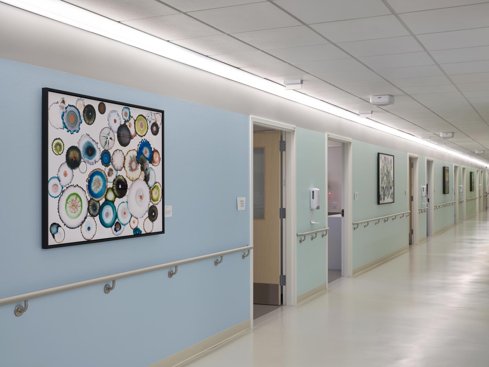 new hall art installation at St. Michael Medical Center new patient tower on the Kitsap Peninsula, photo by Ben Benschneider