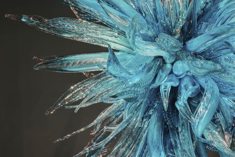 Dale Chihuly Chandelier (detail), 2024